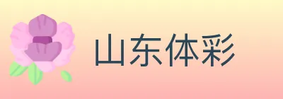 山东体彩 logo